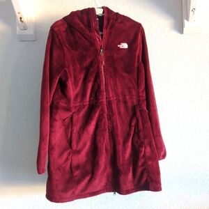 The North Face Fleece Hoodie